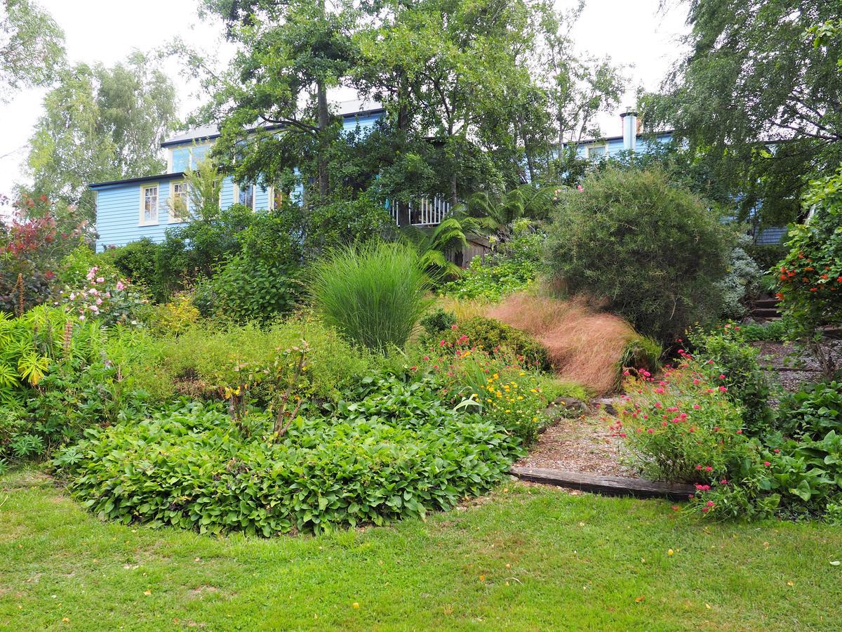 Mole Creek Guesthouse Екстер'єр фото