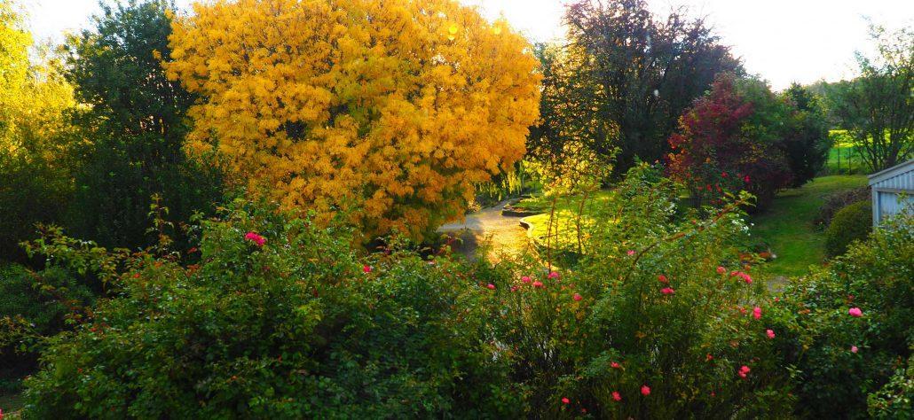 Mole Creek Guesthouse Екстер'єр фото